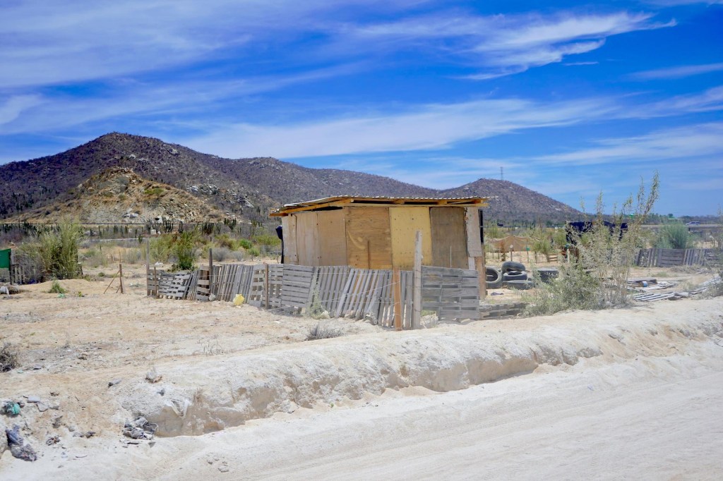 Dan seguimiento a reubicación de familias en zonas de riesgo en Cabo San&nbsp;Lucas