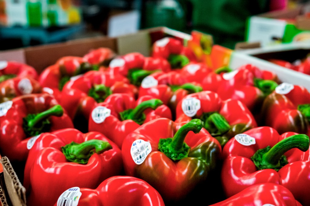 #México envía primer embarque de pimiento morrón a&nbsp;#Japón