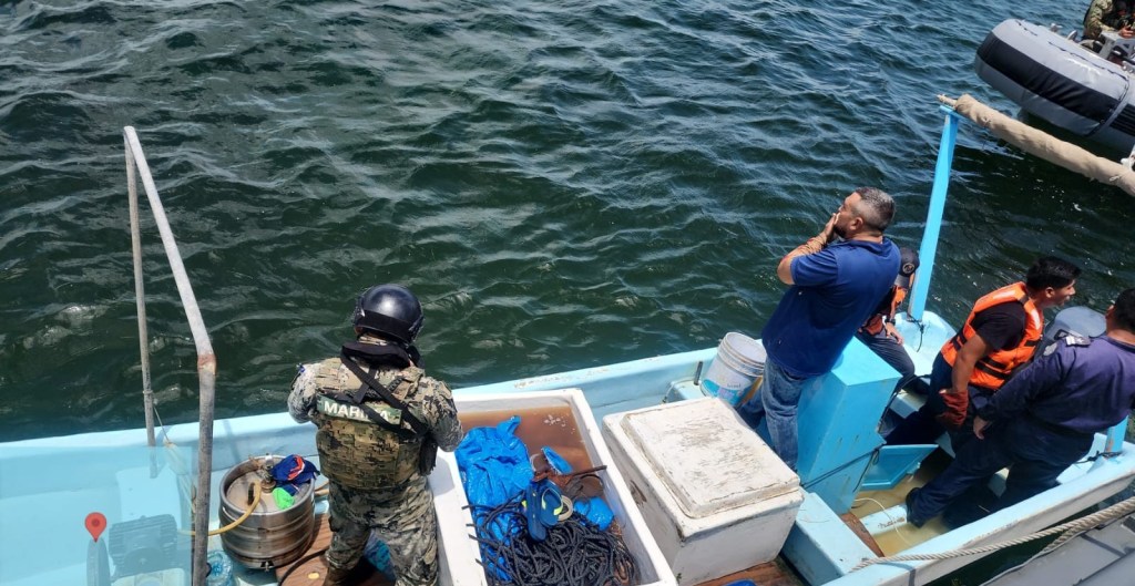 Marina en coadyuvancia con CONAPESCA detiene a tres personas con 250 kg de pepino de mar, especies marinas en veda y artes de pesca prohibida, en el estado de&nbsp;Yucatán