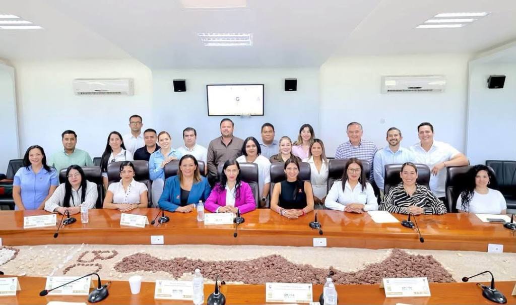 SIPINNA impulsa coordinación entre instituciones para prevención del embarazo en adolescentes&nbsp;