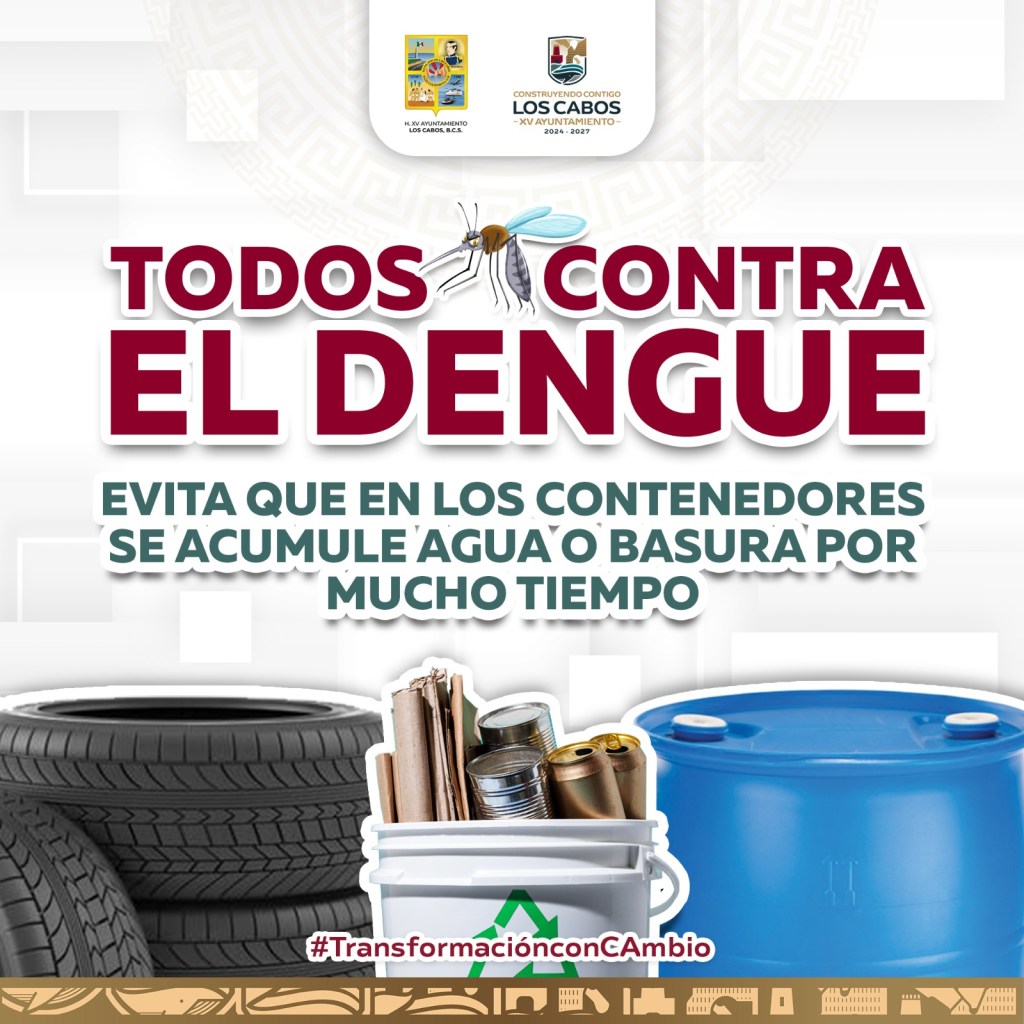 Llaman a familias de Los Cabos a eliminar criaderos de mosquitos para prevenir el dengue