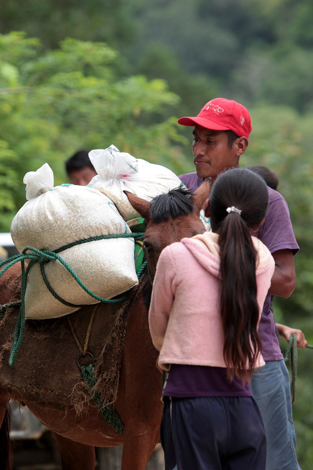 Más de 1.1 millones de personas indígenas y afromexicanas reciben apoyos de Producción para el Bienestar
