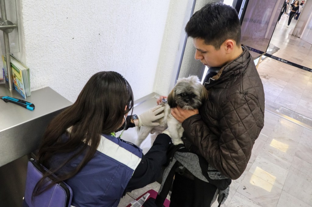 Establece México requisito de inspección sanitaria para GBG en perros y aves provenientes de&nbsp;EUA