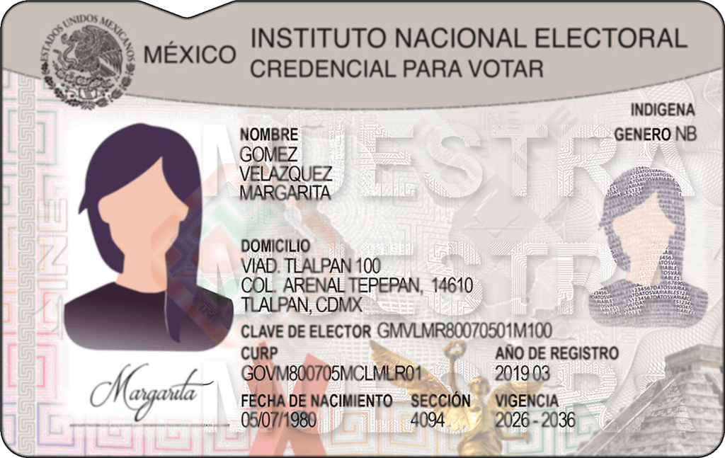 ¿Tengo que renovar mi INE por el nuevo modelo? Lo que debes saber de la nueva credencial de&nbsp;elector