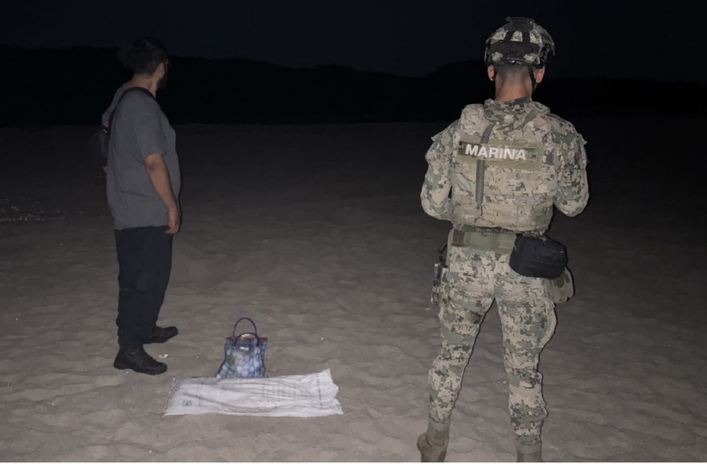 MARINA Y PROFEPA RECUPERAN APROXIMADAMENTE 5,100 HUEVOS DE TORTUGA GOLFINA EN PLAYA ESCOBILLA,&nbsp;OAXACA