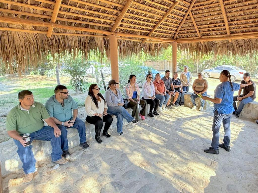 Impulsa Ayuntamiento de Los Cabos el crecimiento y la formalización de MIPyMES