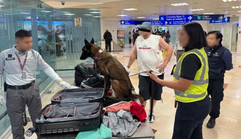 ANAM Y GN ASEGURAN COCAÍNA EN LA ADUANA DEL AEROPUERTO DE CANCÚN, QUINTANA&nbsp;ROO